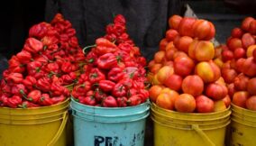 June TalkExchange poll How can Nigeria improve tomato availability annually