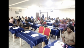 NGOs trains 45 MSMEs from Nasarawa, Benue on safe, massive production of consumables rich in Vitamin A