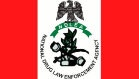 Delta Govt, NDLEA fight drug abuse, stage campaigns in schools
