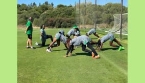 Falconssevilla Training2 (1)