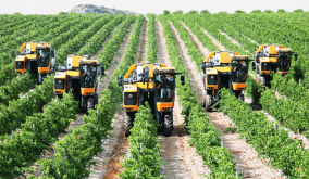 Agric investment surges 226% in three months amid worsening insecurity