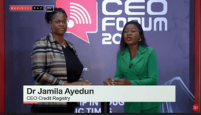 BusinessDay interview with Dr Jamila Ayedun, CEO Credit Registry