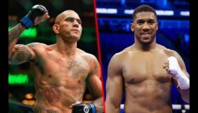 alex pereira-anthony joshua