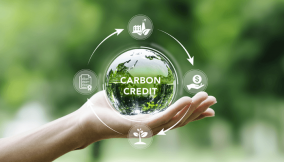 Nigeria’s $3bn carbon market: The moment to lead and own our data is now
