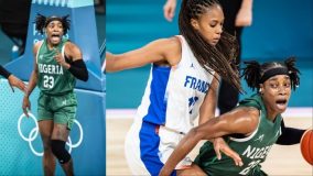 D’Tigress-France
