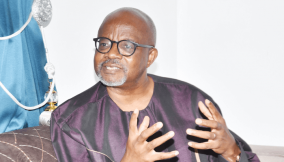 Nigeria needs public, private partnerships to drive food security – Attueyi, Chairman, Ellah Lakes Plc
