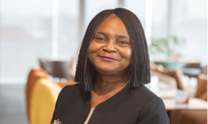 ABC, OIS partner to fast-track Nigerian business visas for US executives