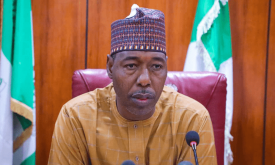Hunger Protest: 3 killed, seven injured as Borno govt imposes curfew