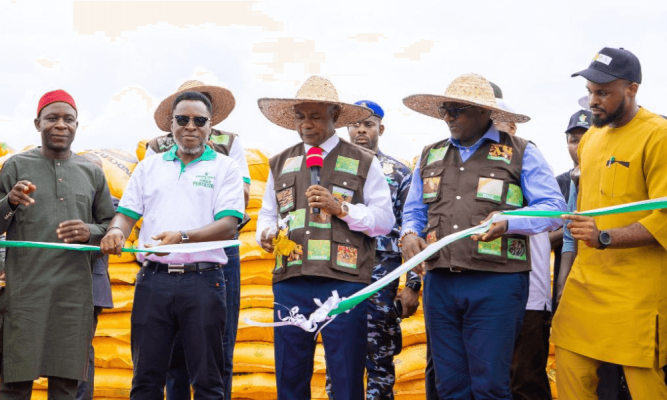 Mbah promotes agriculture, splashes N4.6bn on farmers, MSMEs