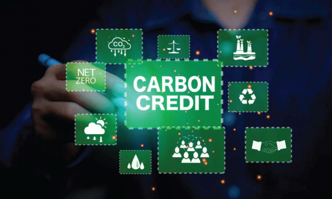 Meet Carbon Limit Nigeria, the firm behind 70% of Nigeria’s carbon credit project