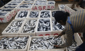 FG calls for empowerment of women, youth in aquaculture value chain