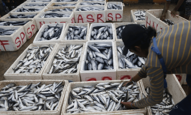FG calls for empowerment of women, youth in aquaculture value chain