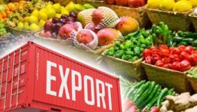 From local to global: What Nigerian businesses require to scale for export