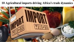 10 Agricultural imports driving Africa’s trade dynamics