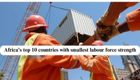 Africa’s Top 10 countries with smallest labour force strength