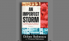 An Imperfect Storm: A Pandemic and the Coming of Age of a Nigerian Institution (2024)