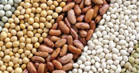GMO foods 1