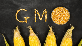 Coalition demands NASS intervention to ban GMOs in Nigeria