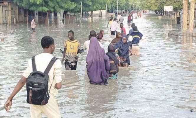 Yobe approves N1.4bn for 25,500 flood victims in 17 LGs