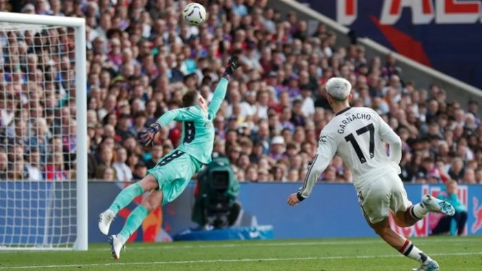 ManUnited-Palace