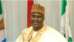 FG mulls inter-agency collaboration to check transborder activities, insecurity