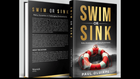 ‘Swim or sink: Policy dynamics in challenging environments’, by Paul Oluikpe
