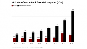 NPF Microfinance profit sinks by 24% on high cost