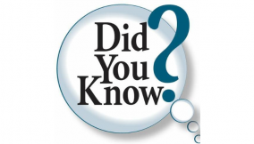 12 random facts you did not know you needed until now