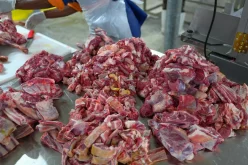 dead animals for food