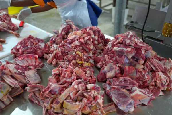 dead animals for food