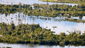 Commission pledges wetland conservation to support livelihood