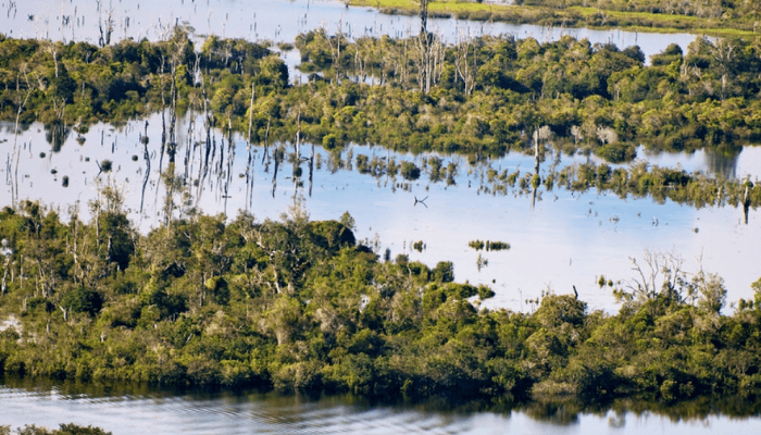 Commission pledges wetland conservation to support livelihood