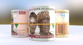 1000 naira notes