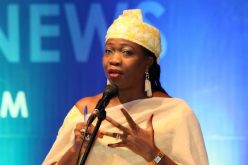 Nigeria, Cabo Verde strengthen diaspora ties