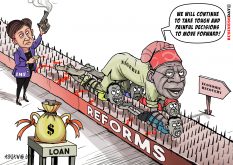 Cart2024OCT025