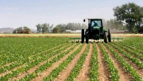 Here are the top 4 job-creating sectors in Nigeria