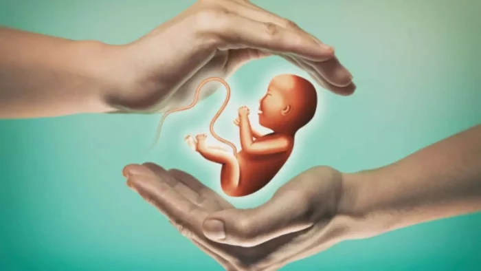 IVF Babies