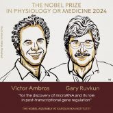 Nobel_2024_700x700