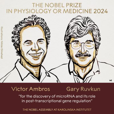 Nobel_2024_700x700