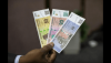 Zimbabwe’s new currency, Naira seen slope downward after central banks’ intervention