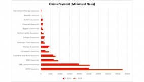 14 insurers pay over N100bn claims in H1