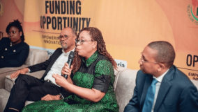 Nigeria seeks innovative companies in healthcare