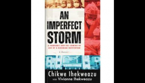 Resilience and creativity in Nigerian public health management
