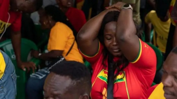 Ghana-fan (1)