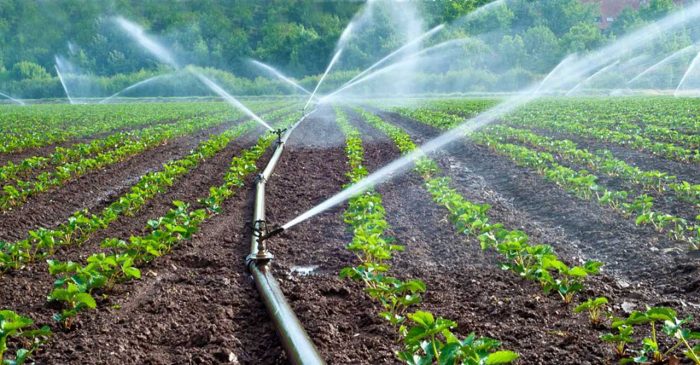 Irrigation