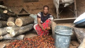 Olum women take a stand to protect their forests from illegal logging