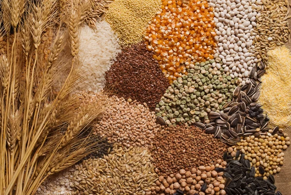 Seed and grain production