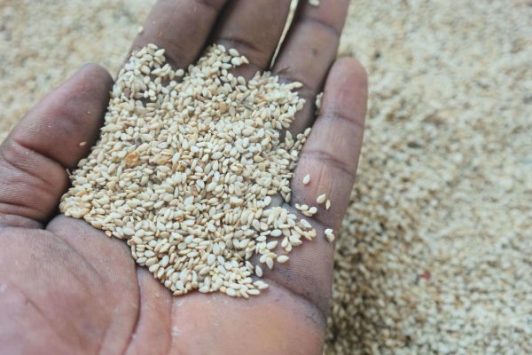 Sesame seeds