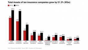 Ten insurers’ assets balloon to N1.46trn on yielding investment