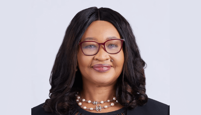 Nigeria-South Africa Chamber of Commerce elects Ije Jidenma as first female president